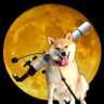 いつも、空と月の風景の写真を撮る人🌛🔭📷's profile picture
