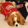 Toby's mom's profile picture