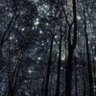 Фото профиля RAVINDER KUMAR