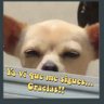 Anastacio Jasso 𝕏 (Tachito) 𝕏 ★ profil fotoğrafı