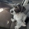 Leon's profile picture