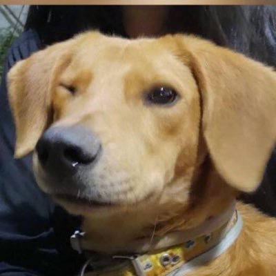 TioTeo's profile picture