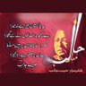 Iffat Siddique raja's profile picture