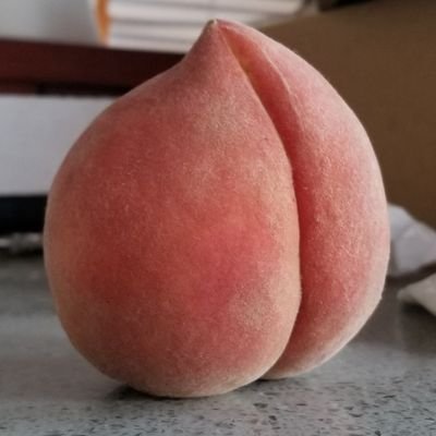 ffrosecrafter's profile picture