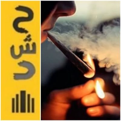 المصري's profile picture