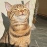 Profilbild von 俕个笙