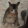 Waldin profil fotoğrafı