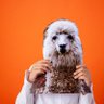 Фото профиля Lo-Fi Llama