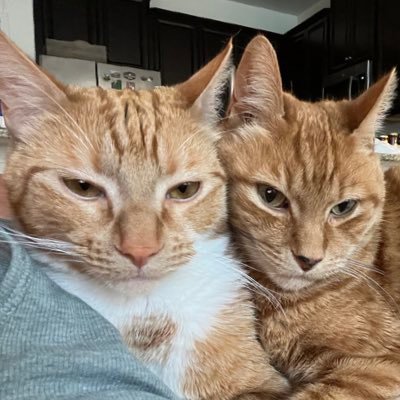 JoMacIntosh1's profile picture