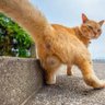 Slimjim profil fotoğrafı