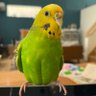 Фото профиля みーちゃん