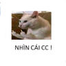 Profilbild von Phước Phạm Hữu