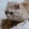 はなちゃん's profile picture