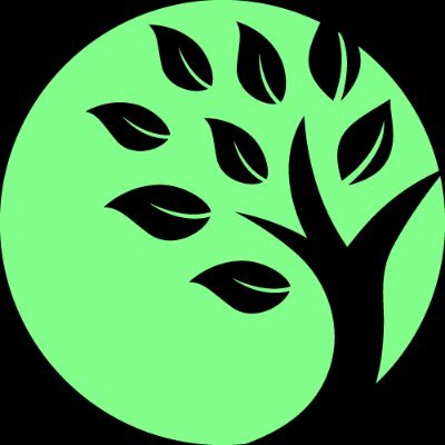 Entity's profile picture