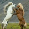 Фото профиля Futuro Cercano_😽💃🐴