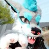 Vash Barkshark profil fotoğrafı