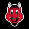 NJ Devil's profile picture