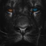 Leo 🇧🇷's profile picture