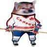 dave brown's profile picture