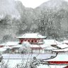 Profilbild von 影風飛雪