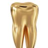 Фото профиля toothofgold