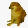 cheemsdoge.eth's profile picture