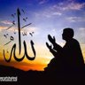 Фото профиля علي السيلاوي