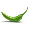 பச்சமிளகா's profile picture