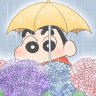噂のしんちゃん's profile picture