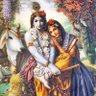 Narendra Rajput profil fotoğrafı