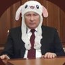 Profilbild von Aussie Fella