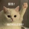 Profilbild von 打烊的小酒馆