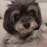 a.e's profile picture