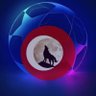 Yanlı-z Kurt🏆's profile picture