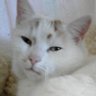 Oscar's profile picture