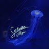 ∅刹那の舞∅'s profile picture