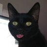 Фото профиля GATO ☭⃠