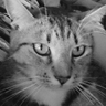 kizzlizz profil fotoğrafı