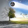زهرة العائلة 🌺's profile picture