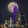 ** الـمـشلـهــبــ's profile picture