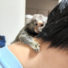 Profilbild von ぽあ
