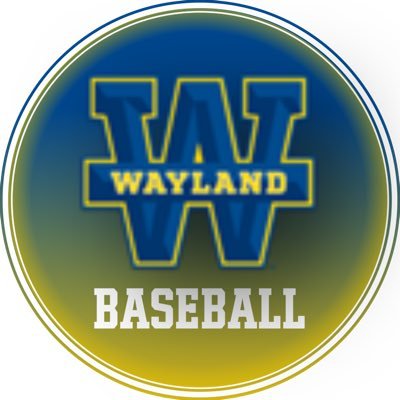 WBU Baseball's profile picture