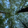 Фото профиля op-ed