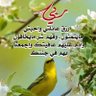 Фото профиля shurooq el-kathemi
