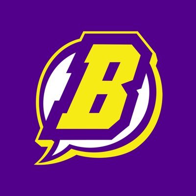 BedrockCity's profile picture