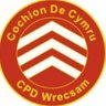 Profilbild von SouthWalesReds