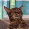 Max Buttcheeks profil fotoğrafı