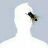 Profilbild von Johnny Robles