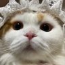 風籟 profil fotoğrafı