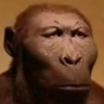 Drung's profile picture